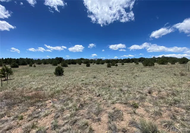 4th image of 1638 20Th Trl, Cotopaxi, CO 81223 | MLS# 7419840