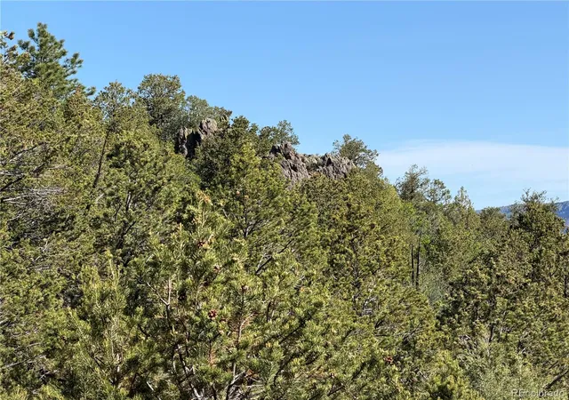 3rd image of 20 Molly Ln, Cotopaxi, CO 81223 | MLS# 6198696