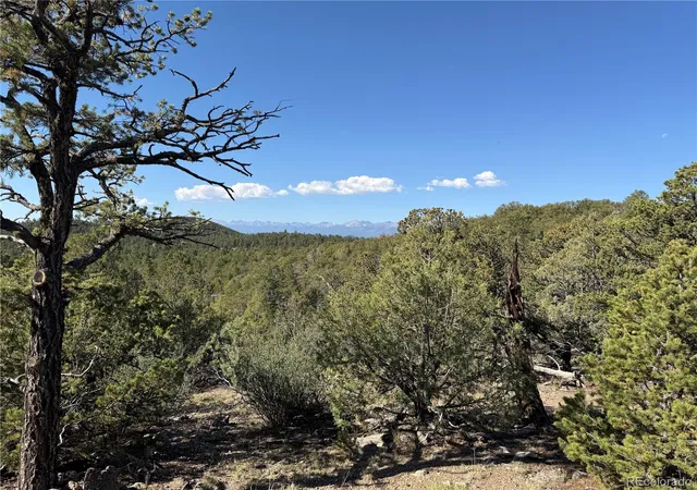 4th image of 20 Molly Ln, Cotopaxi, CO 81223 | MLS# 6198696