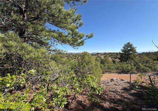 42nd image of 20 Molly Ln, Cotopaxi, CO 81223 | MLS# 6198696