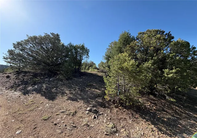 5th image of 20 Molly Ln, Cotopaxi, CO 81223 | MLS# 6198696
