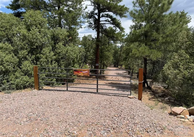 1st image of 165 Mosswood Dr, Cotopaxi, CO 81223 | MLS# 9899919