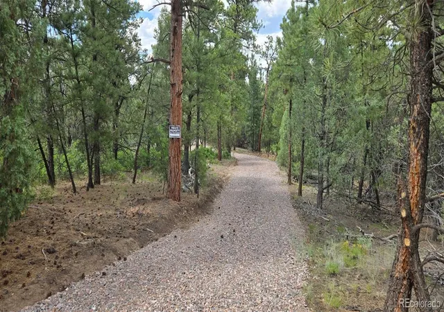 2nd image of 165 Mosswood Dr, Cotopaxi, CO 81223 | MLS# 9899919