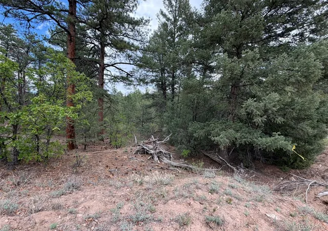 31st image of 165 Mosswood Dr, Cotopaxi, CO 81223 | MLS# 9899919