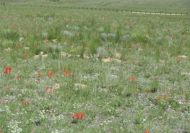 Photo 5 of Land for sale at 412 Smith And Wesson Rd, Como, CO 80432 | MLS# 7261769 | Listing updated on 2026-08-25