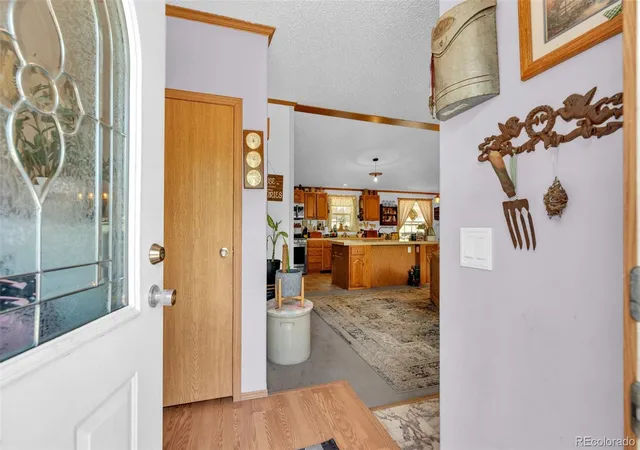 Homes for sale in Florissant, CO | 44 Silver Trl, Florissant, CO 80816 | MLS# 3197538
