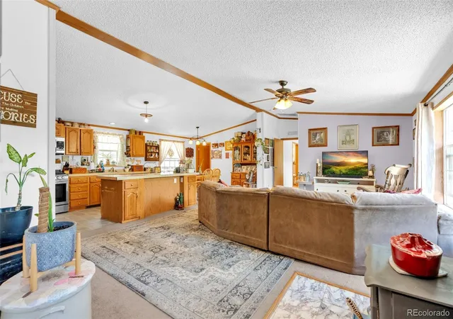 Homes for sale in Florissant, CO | 44 Silver Trl, Florissant, CO 80816 | MLS# 3197538