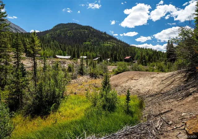 Homes for sale in Nathrop, CO | 25879 County Road 162e, Nathrop, CO 81236 | MLS# 5821732