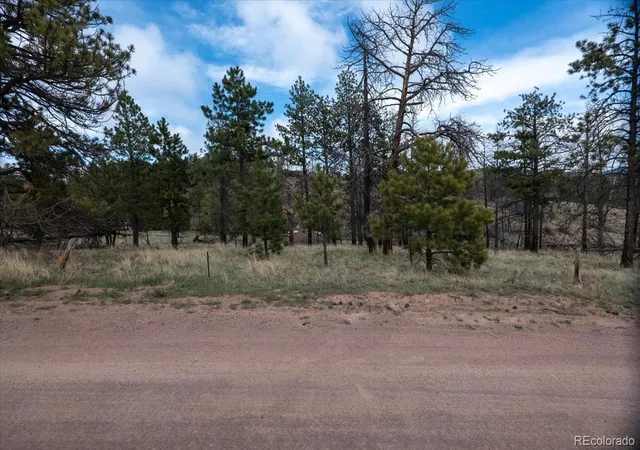 Homes for sale in Florissant, CO | 144 Chapparal Trl, Florissant, CO 80816 | MLS# 4423702