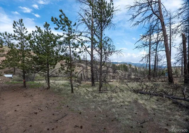 Homes for sale in Florissant, CO | 144 Chapparal Trl, Florissant, CO 80816 | MLS# 4423702