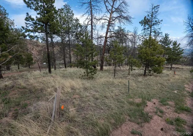 Homes for sale in Florissant, CO | 144 Chapparal Trl, Florissant, CO 80816 | MLS# 4423702