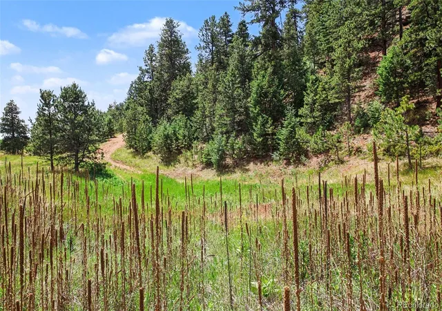 Photo 3 of Land for sale at 10905 W Highway 24, Green Mountain Falls, CO 80819 | MLS# 8345984 | Listing updated on 2026-08-21