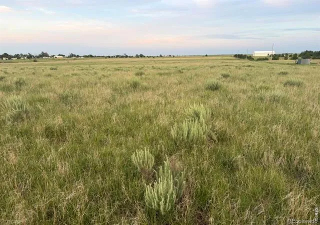 36th image of 5576 County Road G, Joes, CO 80822 | MLS# IR1060657