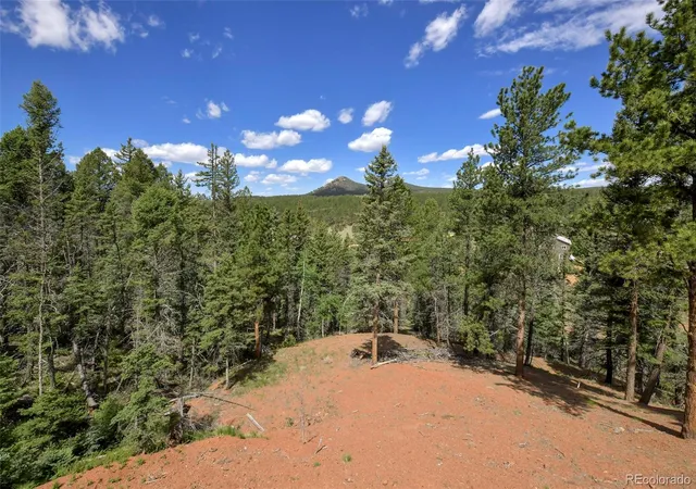 Homes for sale in Florissant, CO | 100 Wildcat Creek Dr, Florissant, CO 80816 | MLS# 4362551