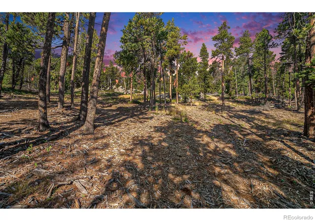 Homes for sale in Drake, CO | 231 Granite Dr, Drake, CO 80515 | MLS# IR1060666