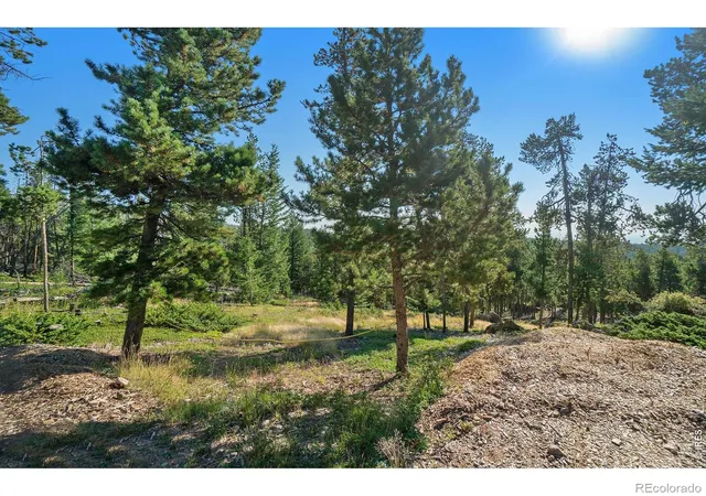 Homes for sale in Drake, CO | 231 Granite Dr, Drake, CO 80515 | MLS# IR1060666