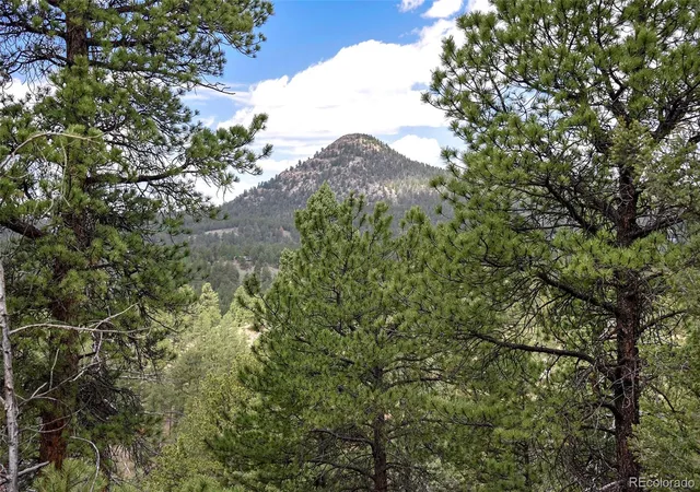 Homes for sale in Florissant, CO | 293 Badger Trl, Florissant, CO 80816 | MLS# 5882755