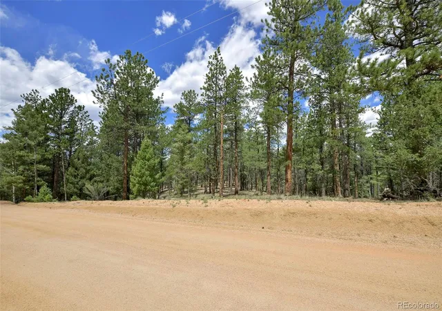 Homes for sale in Florissant, CO | 293 Badger Trl, Florissant, CO 80816 | MLS# 5882755