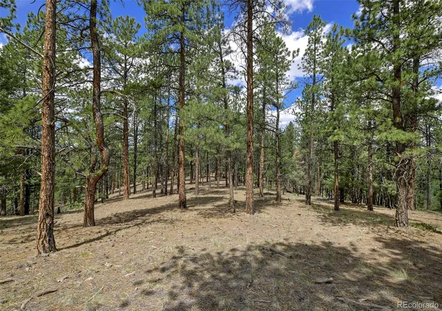 Homes for sale in Florissant, CO | 293 Badger Trl, Florissant, CO 80816 | MLS# 5882755