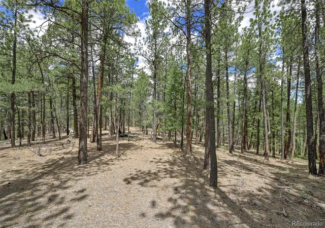Homes for sale in Florissant, CO | 293 Badger Trl, Florissant, CO 80816 | MLS# 5882755