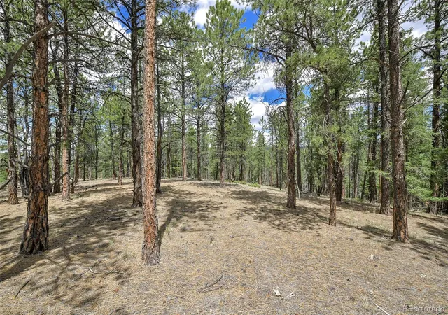 Homes for sale in Florissant, CO | 293 Badger Trl, Florissant, CO 80816 | MLS# 5882755