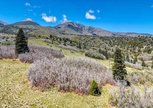 2nd image of 2269 Running Bear, Cotopaxi, CO 81223 | MLS# 1532092