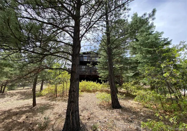 5th image of 1927 Basin Dr, Cotopaxi, CO 81223 | MLS# 9363973