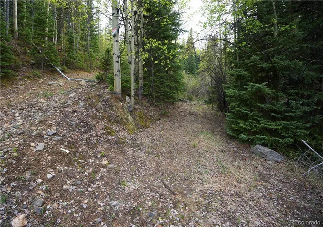 Homes for sale in Idaho Springs, CO | 000 Trail Creek Rd, Idaho Springs, CO 80452 | MLS# 5571778