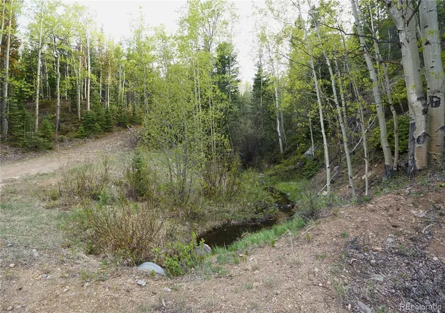 Homes for sale in Idaho Springs, CO | 000 Trail Creek Rd, Idaho Springs, CO 80452 | MLS# 5571778