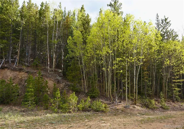 Photo 3 of Land for sale at 000 Trail Crk Rd, Idaho Springs, CO 80452 | MLS# 5571778 | Listing updated on 2026-08-17