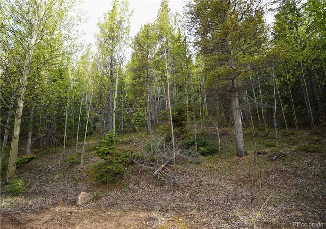 Photo 3 of Land for sale at 000 Trail Crk Rd, Idaho Springs, CO 80452 | MLS# 5571778 | Listing updated on 2026-08-17