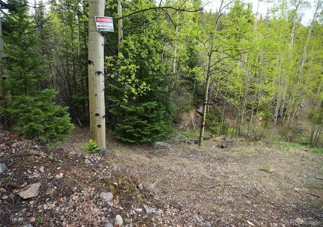 Photo 4 of Land for sale at 000 Trail Crk Rd, Idaho Springs, CO 80452 | MLS# 5571778 | Listing updated on 2026-08-17