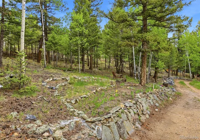 Photo 4 of Single family home for sale at 175 Mount Bailey Dr, Bailey, CO 80421 | MLS# 5711277 | Listing updated on 2026-08-27