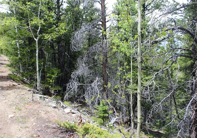 2nd image of 16564a Pennsylvania, Idaho Springs, CO 80461 | MLS# 5062371
