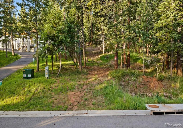 Homes for sale in Larkspur, CO | 8125 Bannock Dr, Larkspur, CO 80118 | MLS# 2581840