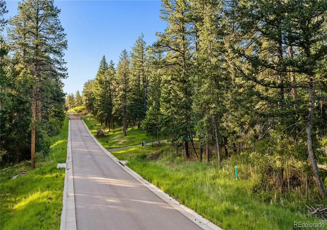 Homes for sale in Larkspur, CO | 8125 Bannock Dr, Larkspur, CO 80118 | MLS# 2581840