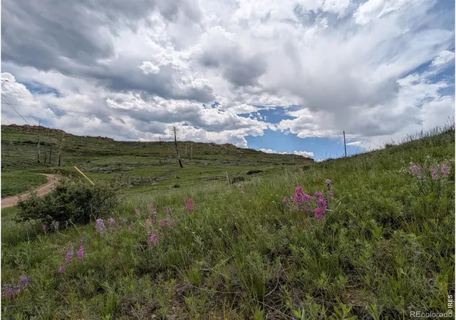 3rd image of 598 Mount Mcconnell Dr, Livermore, CO 80536 | MLS# IR1060767