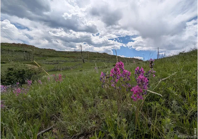 4th image of 598 Mount Mcconnell Dr, Livermore, CO 80536 | MLS# IR1060767