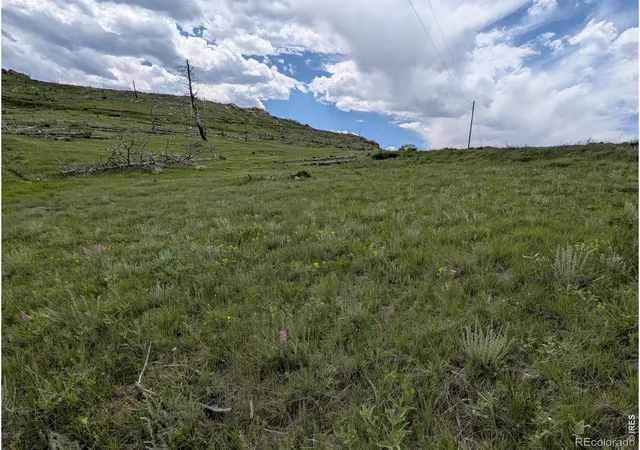 5th image of 598 Mount Mcconnell Dr, Livermore, CO 80536 | MLS# IR1060767