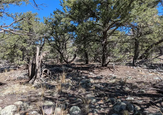 Homes for sale in Crestone, CO | 2202 Spanish Creek Rd, Crestone, CO 81131 | MLS# 4440559