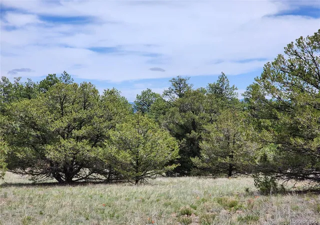 1st image of 000 7th Trl, Cotopaxi, CO 81223 | MLS# 9761307