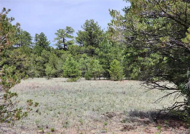 2nd image of 000 7th Trl, Cotopaxi, CO 81223 | MLS# 9761307