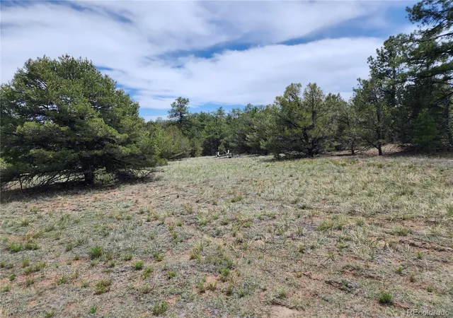 3rd image of 000 7Th Trl, Cotopaxi, CO 81223 | MLS# 9761307