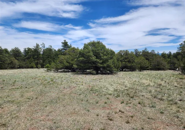 4th image of 000 7Th Trl, Cotopaxi, CO 81223 | MLS# 9761307