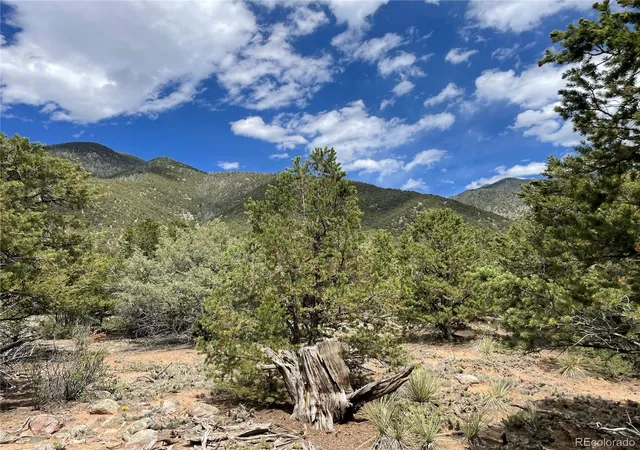 Homes for sale in Crestone, CO | 4286 Fallen Tree, Crestone, CO 81131 | MLS# 3809455