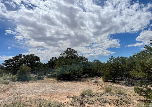 Homes for sale in Crestone, CO | 4286 Fallen Tree, Crestone, CO 81131 | MLS# 3809455