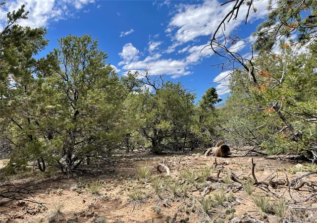 Homes for sale in Crestone, CO | 4286 Fallen Tree, Crestone, CO 81131 | MLS# 3809455