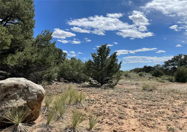 Homes for sale in Crestone, CO | 4286 Fallen Tree, Crestone, CO 81131 | MLS# 3809455