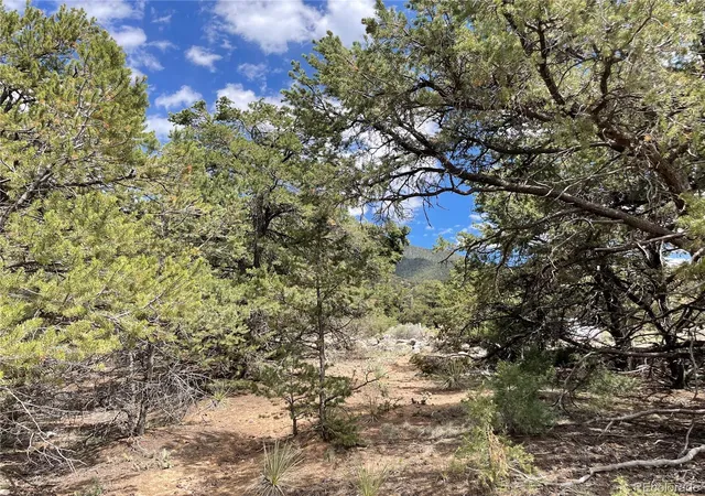 Homes for sale in Crestone, CO | 4286 Fallen Tree, Crestone, CO 81131 | MLS# 3809455