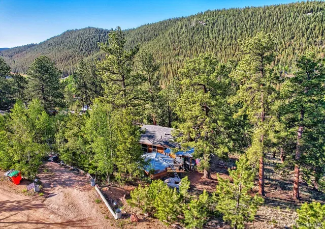 Homes for sale in Bailey, CO | 226 Hall Rd, Bailey, CO 80421 | MLS# 1723855